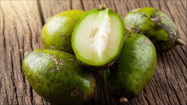 1 quả cóc bao nhiêu calo và ăn có béo không