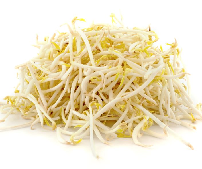 Dinh dưỡng trong giá đỗ giúp gì cho cơ thể