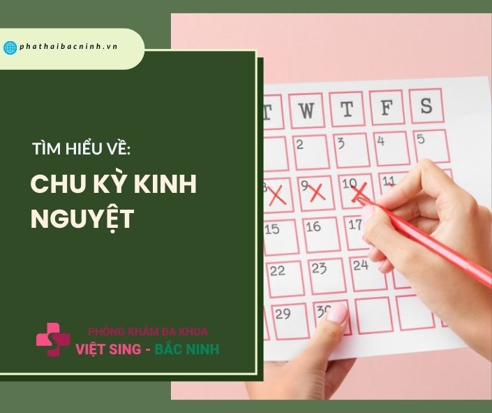 TÌM HIỂU VỀ CHU KỲ KINH NGUYỆT